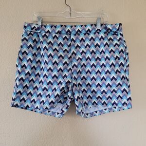 Frescobol Carioca Mens Tailored Swim Shorts Rio De Janeiro Blue White 36 Chevron
